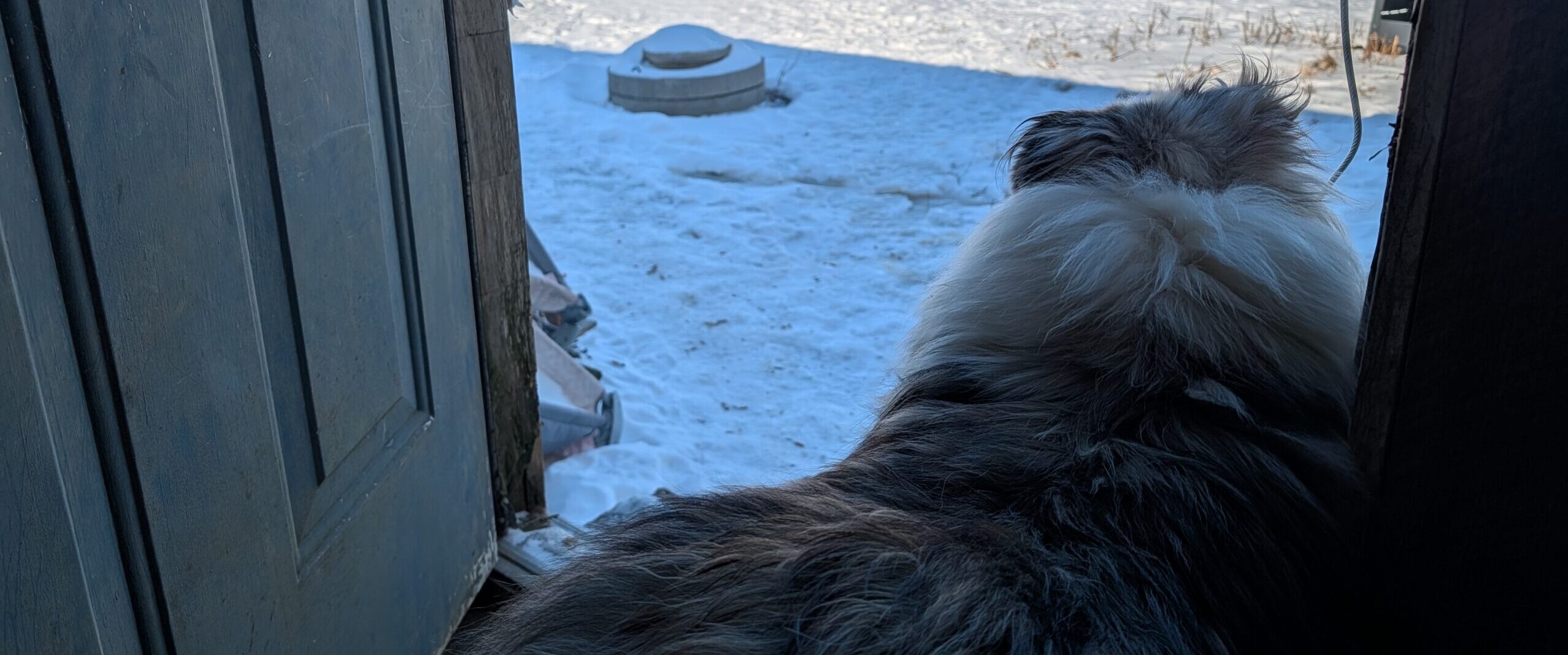 Rue looking out.