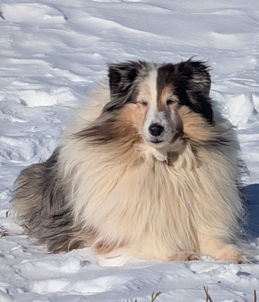 Satisfied looking Rue.